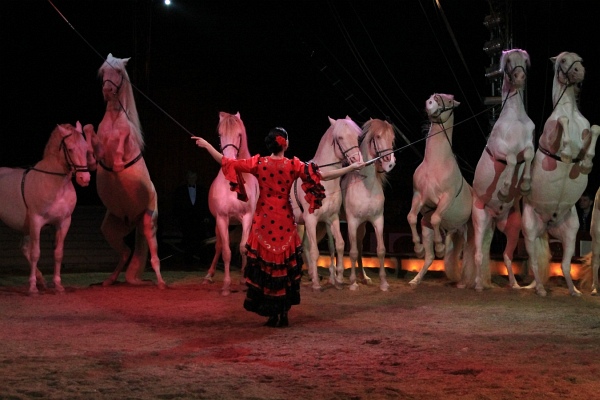 Krone2011   083.jpg